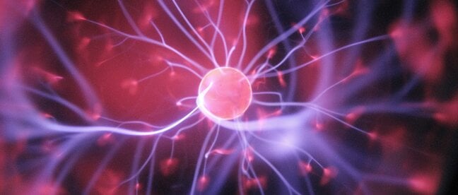 biomagnetismo biomagnetismo